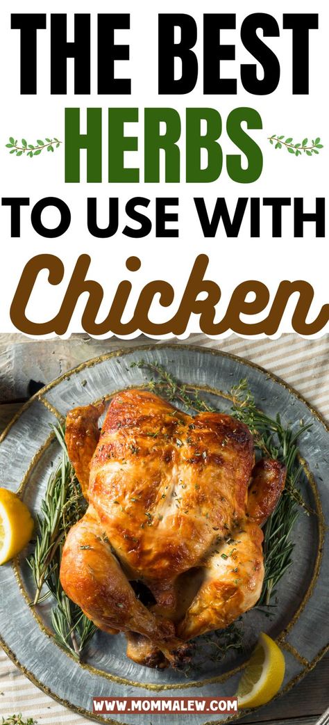 Herbs for Chicken Recipes Herbs For Chickens, Cooking Herbs, Herb Chicken, Turkey Dishes, Smoked Chicken, Juicy Chicken, Healthy Chicken Recipes, Ground Beef Recipes, Vegetable Dishes