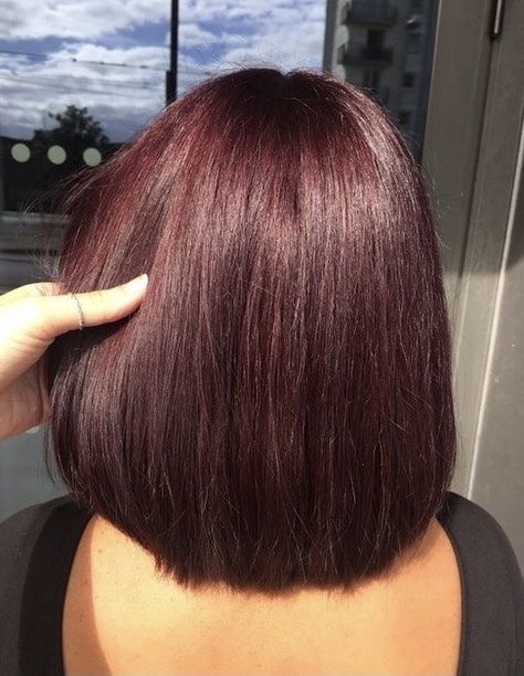 Short Dark Red Hair Burgundy, Burgundy Hair Short, Single Color Hair, Burgandy Hair Color, Short Dark Red Hair, Burgundy Short Hair, Burgundy Hair Color Ideas, Short Burgundy Hair, Pelo Color Borgoña