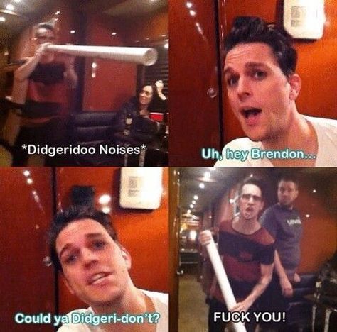 Emo Band Memes, Dallon Weekes, Emo Trinity, Emo Memes, Memes Lol, Billie Joe Armstrong, Band Humor, Emo Music, Brendon Urie