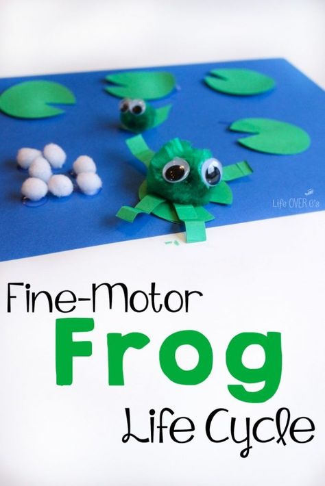 This fine-motor frog life cycle craft is perfect for your life cycle theme! Plus, it's great for building language skills!