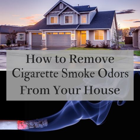 How to Get the Cigarette Smoke Smell Out of Your House: A Step-by-Step Guide - Dengarden - Home and Garden Odor Eliminator House, Vynal Flooring, Best Cleaner, House Smell Good, Washing Walls, House Smell, Cleaning Recipes, Odor Remover, Home Scents