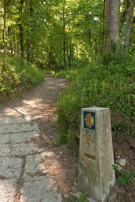 El Camino a su paso por Negreira. ** Santiago Spain, Camino Trail, St Jacques, Early Middle Ages, The Camino, Saint Jacques, Europe Summer, Pamplona, Backpacking Travel