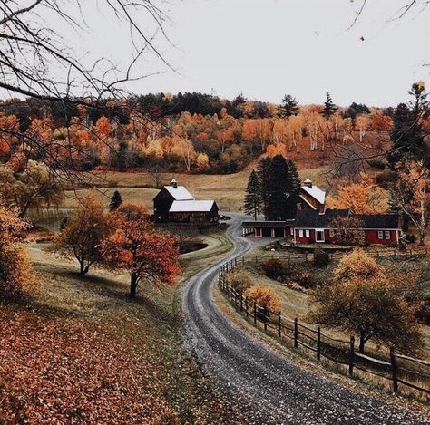 Leaves On The Ground, Foto Tips, Autumn Beauty, Best Seasons, Autumn Aesthetic, Samhain, On The Ground, Country Road, Autumn Inspiration