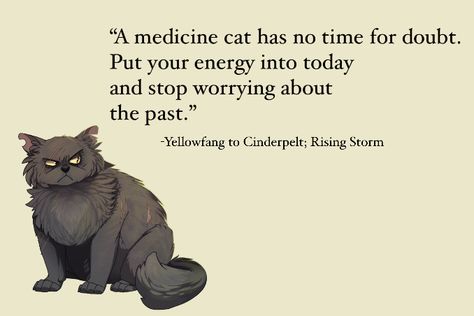 All the times Warriors taught us something. Warrior Cat Quotes, Yellowfang And Cinderpelt, Yellowfang Warrior Cats, Warriors Drawing, Warrior Cats Quotes, Warriors Memes, Warrior Cats Funny, Warrior Cat Memes, Warrior Cats Comics