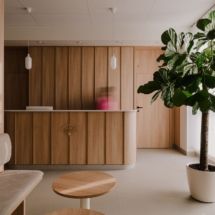 Browse All Photos - Healthcare Snapshots Reception Clinic, Healthcare Interior Design, Severe Migraine, Migraine Pain, Timber Panelling, Healthcare Design, Clinic Design, Muted Color Palette, Ergonomic Chair