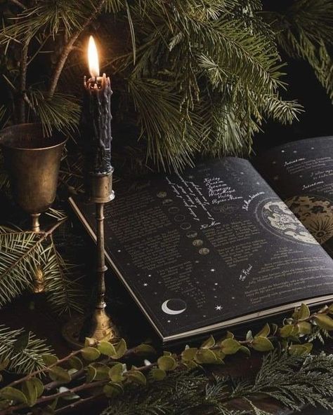 Magic Of I Planner, Moody Witch Aesthetic, Hearth Witch Aesthetic, Nature Witch Art, Witch Asethic, Earth Witch Aesthetic, Good Witch Aesthetic, Green Witch Art, Nature Witch Aesthetic