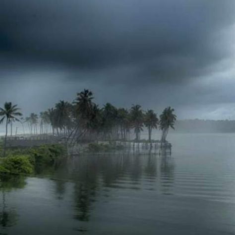 Latest, Sound of Rain, Moist Mud Aroma and All Issues Good - Monsoon in Kerala, #Aroma #AthirapillyFalls #Good #Kerala #Keralabackwaters #Keralatourism #Monsoon #MonsooninKerala #Mud #Onam #Rain #Sound #Wet Check more at https://timesof24.com/sound-of-rain-moist-mud-aroma-and-all-issues-good-monsoon-in-kerala/ Rain In Kerala, Kerala Monsoon, Monsoon Aesthetic, India Aesthetic, Rain Sound, Kerala Backwaters, Monsoon Rain, Beautiful Scenery Photography, India Photography