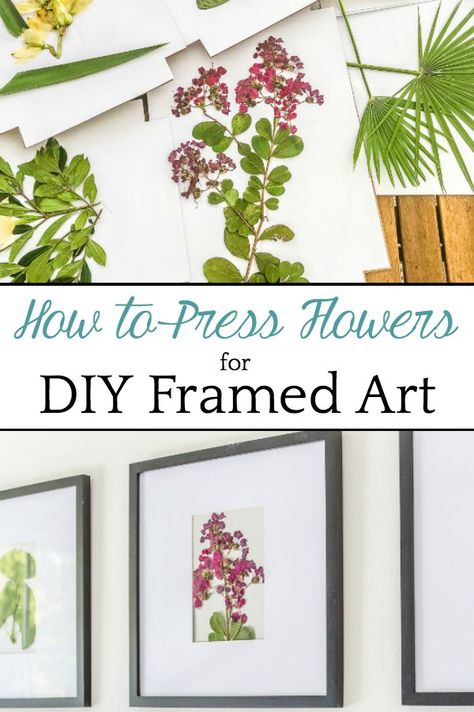 DIY Pressed Flower Art | How to press flowers and leaves from your own backyard to frame as inexpensive, vintage-inspired wall decor. Diy Flower Canvas Wall Art, How To Dry Flowers To Frame, Pressed Dried Flowers In Frame, How To Frame Leaves, How To Frame Dry Flowers, How To Press And Frame Flowers, Diy Dry Flowers Frame, How To Press Flowers In A Frame Diy, How To Frame Pressed Flowers Diy