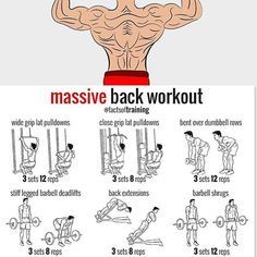 Facts of Training Back WEDNESDAY Workouts Programs, Chest Workout Women, Gym Antrenmanları, Gym Workout Chart, Muscle Building Workouts, Workout Chart, Chest Workouts, Back And Biceps, Gym Workout Tips