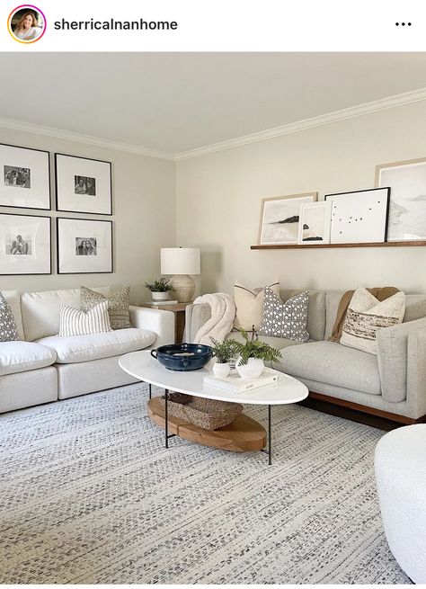 White Sofa Living, Sofa Living Rooms, Rugs Dark, Dark Wood Floor, White Sofa Living Room, Modern Sofa Couch, White Sofa, Dark Wood Floors, Mid Century Modern Sofa