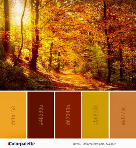 Film Moodboard, Seeds Color Palette, Cinematography Composition, Beach Color Palettes, Colour Palate, Autumn Images, Seeds Color, Color Palette Ideas, Colors Inspiration