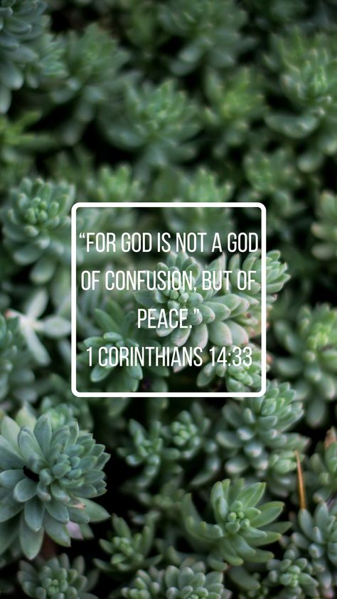 “For God is not a God of confusion, but of peace.” 1 Corinthians 14:33 Succulent iPhone lock screen Iphone Lock Screen, A God, Lock Screen, Christian Faith, God Is, Word Of God, Succulent, Screen, Iphone