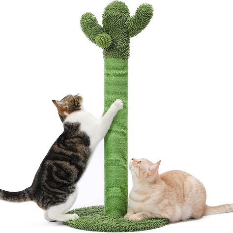 Made4Pets Cat Scratching Post, Cactus Cat Scratcher Kitten Scratch Post with Sisal Rope for Indoor Cats Claw Scratcher, Vertical Green Cat Tree with Dangling Ball for Kitties, Large-34 inches Cactus Cat Scratcher, Tall Cat Scratching Post, Cats Claw, Cactus Cat, Cat Tree Condo, Green Cat, Cat Post, Indoor Cats, Sisal Rope