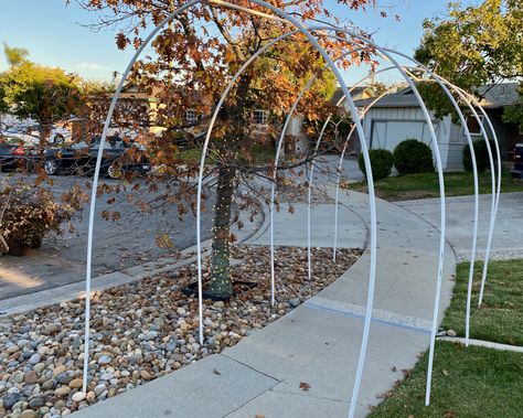 How to Make a Haunted Halloween Tunnel - Staying Blonde Diy Outdoor Halloween Arch, Pathway Halloween Decorations, Diy Archway Halloween, Halloween Walk Through Ideas Outside, Diy Halloween Driveway Ideas, Halloween Diy Archway, Diy Haunted Archways, Diy Halloween Tunnel Ideas Outdoor, Halloween Walkway Arch