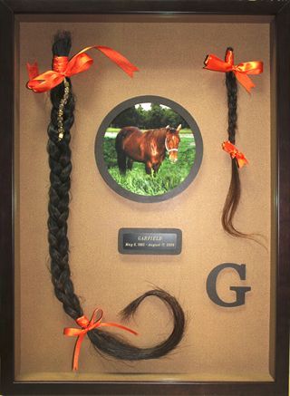 Horse Shadow Box Ideas, Horse Shadow Box, Horse Shadow, Horse Remembrance, Horse Memory, Memorial Board, Horse Ribbons, Shadow Box Ideas, Horse Memorial