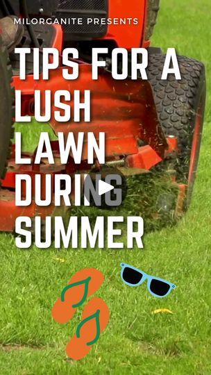 Milorganite Fertilizer Milorganite Fertilizer, Lush Lawn, Summer Lawn, Healthy Summer, Lush Green, Lawn Care, You've Been, Gardening Tips, Lush