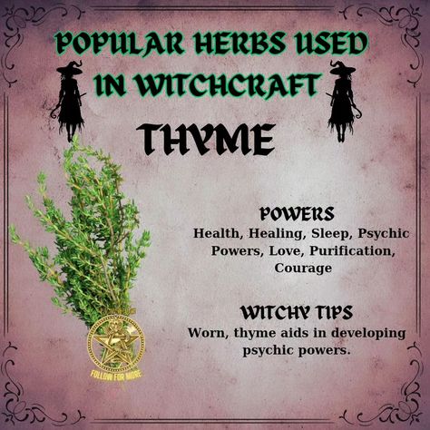 Common herbs used in witchcraft include: - **Sage**: Often used for cleansing and protection. - **Rosemary**: Associated with memory and fidelity, used in rituals for clarity. - **Lavender**: Known for promoting peace and tranquility, often used in love spells. - **Mugwort**: Used for enhancing dreams and psychic abilities. - **Basil**: Believed to attract wealth and protect against negativity. These herbs are valued for their symbolic meanings and practical applications in various magical ... Basil Spells, Sage Meaning Witchcraft, Herbs Meaning Witchcraft, Herbs Used In Witchcraft, Herb Meanings, Spiritual Herbs, Banishing Herbs, Medical Plants, Symbolic Meanings