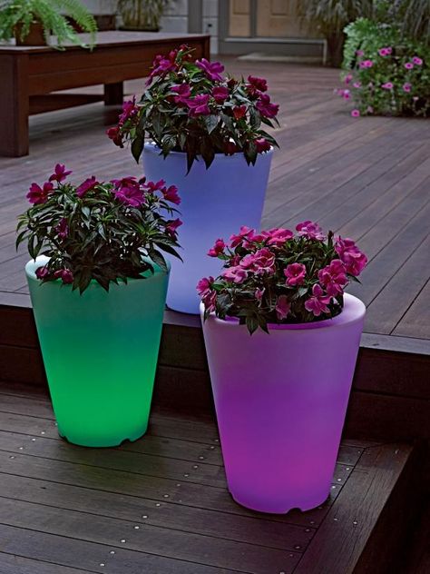 Solar Illuminated Planters Design Per Patio, Pot Tanaman, Romantic Backyard, Best Outdoor Lighting, Diy Outdoor Lighting, Pot Art, House Farmhouse, Hydrangea Care, Backyard Landscape