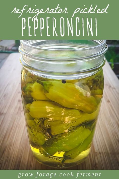 Refrigerator pickles are a quick and delicious way to preserve the summer harvest, but you don't have to stick to pickled cucumbers - there are many vegetables you can use, like pepperoncini peppers! This recipe for quick refrigerator pickled pepperoncini peppers will become a new favorite! Pepperoncini Recipes, Store Peppers, Preserve Peppers, Pickled Pepperoncini, Pickled Pepper Recipe, Canning Peppers, Refrigerator Pickles Dill, Pickled Peppers, Pepperoncini Peppers