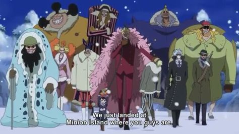 Doffy Crew!!! Doflamingo Family, Donquixote Pirates, Don Quixote Doflamingo, Law Op, Don·quixote Doflamingo, Rob Lucci, King Hassan, Donquixote Family, Overwatch Reaper