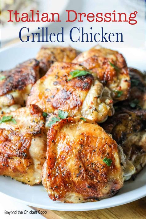 Italian Dressing Chicken Italian Dressing Grilled Chicken, Chicken Thigh Recipes Italian Dressing, Italian Dressing Chicken Recipes, Chicken In Italian Dressing, Italian Dressing Marinated Chicken, Italian Dressing Chicken Marinade, Italian Marinated Chicken, Italian Dressing Marinade, Italian Dressing Chicken