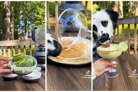 How to Make a Dog-Friendly Margarita Bacon Dog, Church Picnic, Sweet Potatoes For Dogs, Bake Sale Recipes, Chicken For Dogs, Coconut Peanut Butter, Frozen Margaritas, Frozen Dog, Puppy Kisses