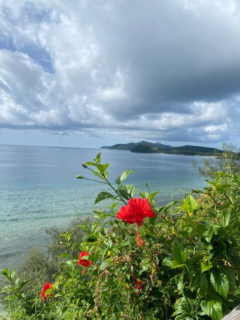 Beach, ocean, flower, tropical, island, green, red flower, blue sky Island Life, Travel Bucket List, Travel Bucket, Dream Life, Hibiscus, Summer Vibes, Bucket List, In This Moment, Flowers