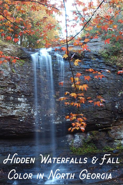 Fall adventures in the North Georgia mountains. Thanksgiving Pics, Waterfalls In Georgia, Landscape Tutorial, Fall Adventures, Cloudland Canyon, Views Nature, Visual Book, Gorges State Park, Chattahoochee National Forest