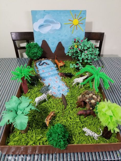 Rainforest Preschool Science Habitat Project, Forest Ecosystem Diorama, Grassland Ecosystem Project, 3d Ecosystem Project, Dinosaur Habitat Diy, Rainforest Crafts For Kids Art Projects, Forest Projects For Kids, Grassland Biome Project, Forest Habitat Project