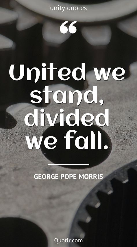 Family Unity Quotes, Slogan On Unity, Unity In Diversity Quotes, Quotes About Unity, Harmony Quotes, Diversity Quotes, Unity Quotes, Community Quotes, Quotes About Family