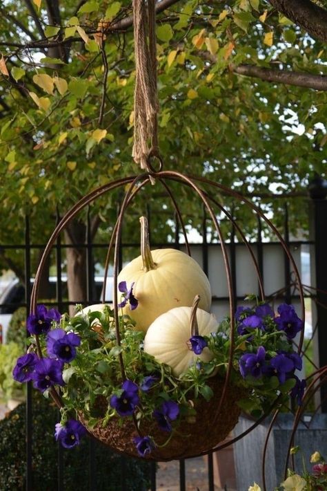 Fall Hanging Baskets, Porch Vibes, Fall Container Gardens, Fall Containers, Fall Planters, Garden Wallpaper, Autumn Display, Autumn Decorating, Fall Outdoor Decor