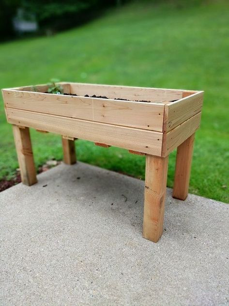 Potting Ideas, Elevated Garden Bed, Garden Beds Diy, Elevated Garden, Herb Garden Planter, Raised Garden Bed Plans, Cinder Block Garden, Elevated Gardening, Beds Diy