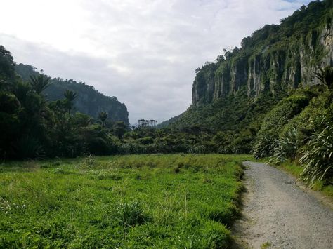 New Zealand Paparoa National Park Paddington Bear, Australia Travel, Special Places, Auckland, State Parks, Beautiful Nature, Peru, National Park, Monument