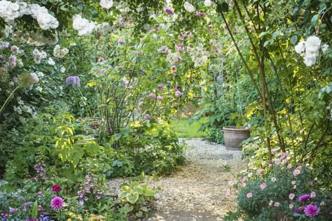 Rose Garden In The City - Jo Thompson Garden & Landscape Design Large Country House, Country Garden Design, Landscape Garden Design, Rose Garden Design, Screen Plants, Herbaceous Border, House Gardens, London Garden, Garden Designer