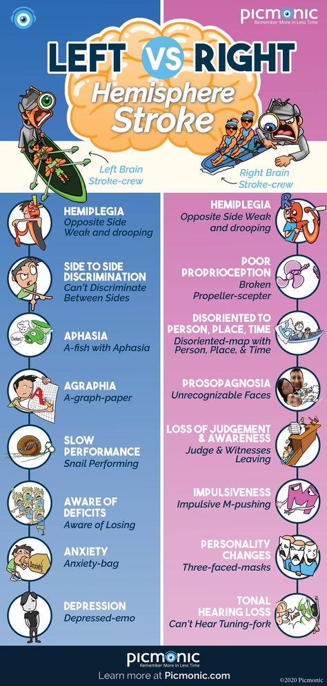 Positive Inotropes Nursing, Left And Right Hemisphere Of Brain, Types Of Strokes Nursing, Picmonic Nursing, Memes Nursing, Nursing Pictures, Types Of Strokes, Nursing Cheat, Memory Retention