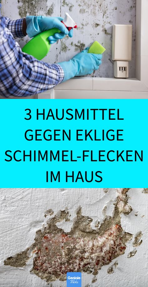 3 Hausmittel gegen eklige Schimmel-Flecken im Haus Schimmel entfernen: 3 effektive Hausmittel Schimmel entfernen, leicht gemacht: Mit diesen 3 Hausmitteln kannst du effektiv Schimmel von Wand, Tapete und Möbeln entfernen – ob in der Wohnung, im Bad oder im Keller. Wall Tiles, Design Elements, Things To Come, Tools, Wall, Quick Saves, Design