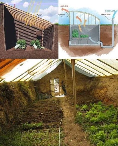 Underground Garden, Underground Greenhouse, Chicken Houses, Solar Greenhouse, Earth Sheltered, Gravel Path, Survival Gardening, Barn Plans, Outdoor Sheds