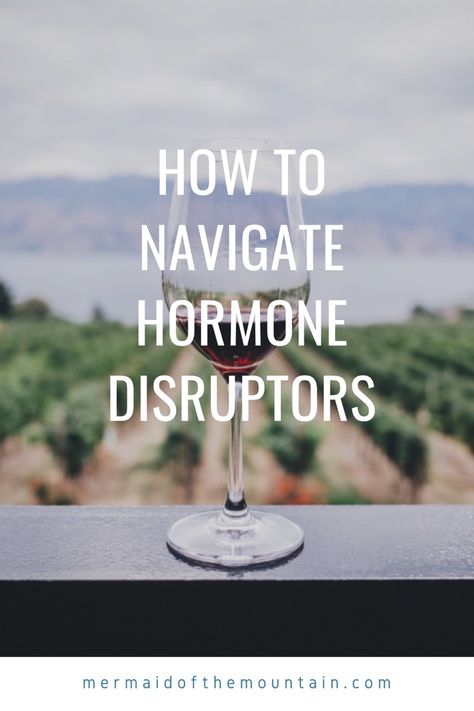 Hormone Disruptors, High Carb Foods, Natural Hormones, Remove Toxins, Hormone Imbalance, Food Lists, Types Of Food, What You Can Do, Our Body