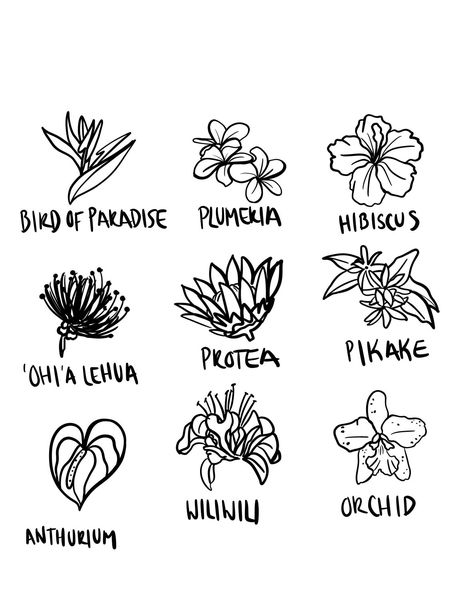 Hawian Themed Tattoos, Hawaii Flowers Tattoo Design, Hawaii Tattoo Minimalist, Hawaii Plant Tattoo, Hawaiian Flower Doodle, Native Hawaiian Flower Tattoo, Hawaiian Drawings Easy, Ohia Lehua Flower Tattoo, Maui Hawaii Tattoo Ideas