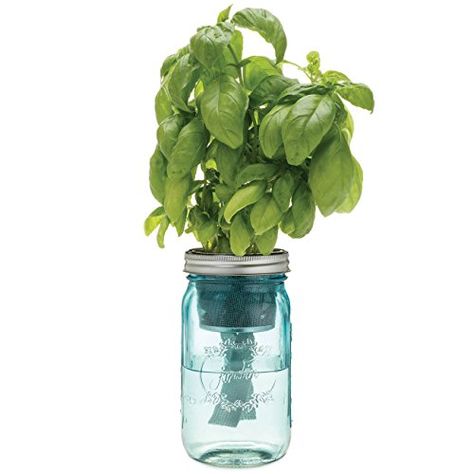 Easy, thrifty DIY for a self-watering planter Sprout Garden, Mason Jar Herbs, Mason Jar Planter, Tattoo Plant, Herb Jar, Herb Garden Kit, Growing Basil, Hydroponic Growing, Plant Nutrients