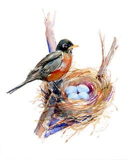 Bird Nests Art, Bird Nest Painting, Nest Art, John 8, Up Book, Bird Drawings, Watercolor Inspiration, Watercolor Bird, Birds Painting