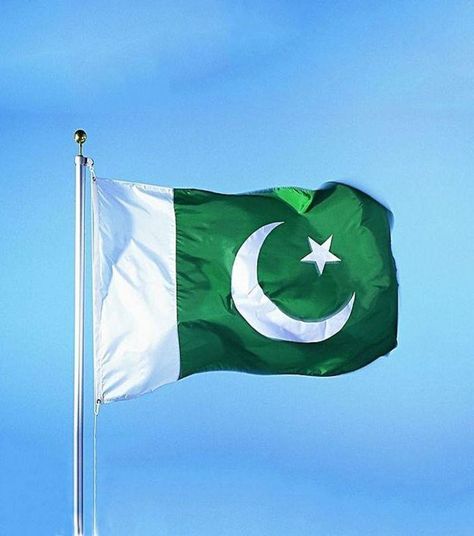 Pakistan Flag Hd, Pakistani Wallpaper, Pakistan Flag Wallpaper, Ramzan Images, Pakistani Flag, August Wallpaper, January Art, Live Fish Wallpaper, Pakistan Day