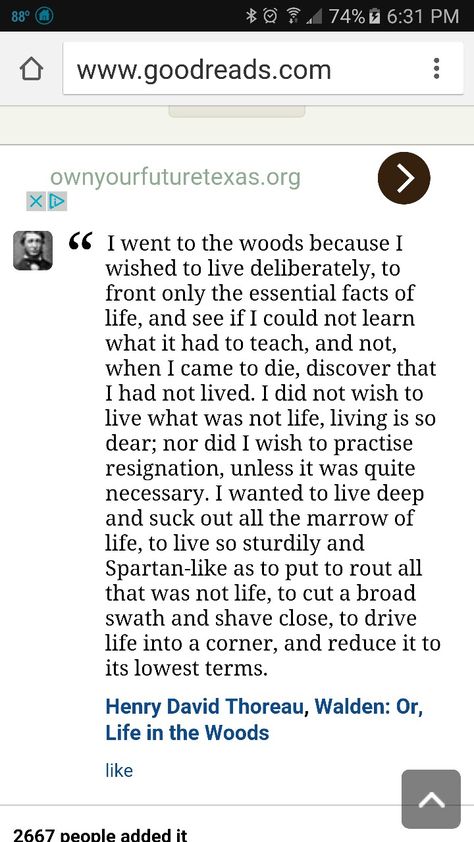 What Lies In The Woods Book, Taylor Swift The Dead Poets Department, Robert Sean Leonard Dead Poets Society, Nobody Has Ever Measured Not Even Poets, I Went To The Woods Dead Poets Society, Oh Captain My Captain, Poems About Life, Material Library, Captain My Captain