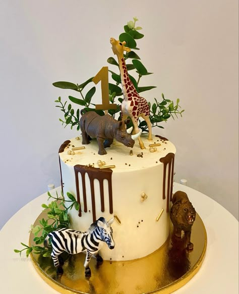 #cake #cakedesigner #cakeideas #animalcake #junglecake #cakedecoratingtips Zoo Cake Ideas, Zoo Animal Cake, Amazon Cake, Zoo Birthday Cake, Jungle Animal Cake, Zoo Animal Cakes, Jungle Birthday Cakes, Safari Birthday Party Decorations, Jungle Theme Cakes