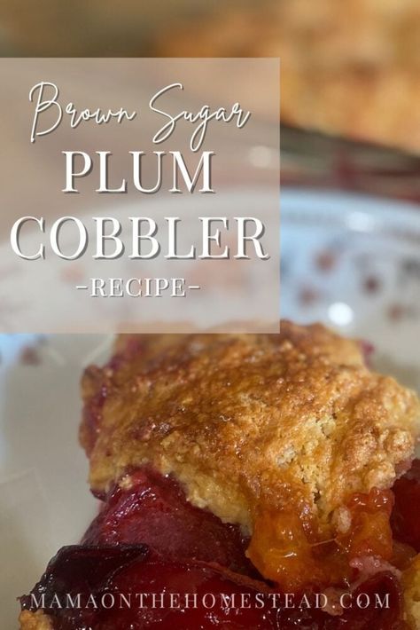 Plum Cobbler Recipe Easy, Plum Recipes Dessert, Plum Cobbler Recipe, Plums Recipes Dessert, Sugar Plum Recipes, Plum Cobbler, Plum Varieties, Canned Plums, Cobbler Recipes Easy