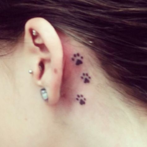 Paw prints Dog Paw Tattoo Behind Ear, Paw Prints Behind The Ear Tattoo, Behind The Ear Paw Print Tattoo, Paw Tattoo Behind Ear, Paw Print Tattoo Behind Ear, Paw Print Tattoo Dog, Tattoo Ear, Cat Paw Tattoos, Cat And Dog Tattoo