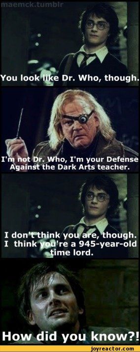 "doctor who" / funny pictures & best jokes: comics, images, video, humor, gif animation - i lol'd Harry Potter And His Friends, Catherine Tate, Never Stop Dreaming, Fandom Crossover, Wibbly Wobbly Timey Wimey Stuff, Timey Wimey Stuff, To Infinity And Beyond, Harry Potter Funny, Superwholock