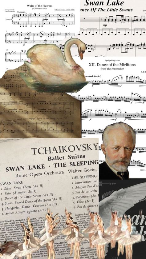 #Tchaikovsky #ballet #music #balletdancer Ballet Wallpaper, Ballet Music, Classical Music Composers, Piano Art, Band Director, Classical Musicians, Animal Study, Book Wallpaper, Music Composers