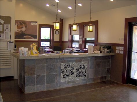 Dog Training Center Design, Animal Adoption Center, Dog Daycare Ideas, Dog Boarding Facility Ideas, Kennel Business, Indoor Dog Park, Dog Boarding Facility, Pet Store Ideas, Build A Dog House