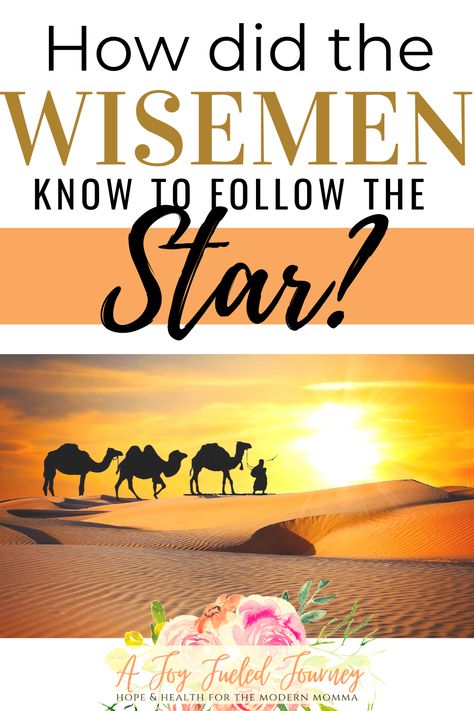 Follow The Star Christmas, The Christmas Story Bible, Christmas Bible Story, Christmas Story Bible, Christmas Sunday School Crafts, Christmas Bible Study, Star Meaning, Christmas Sunday School, Christmas Sunday